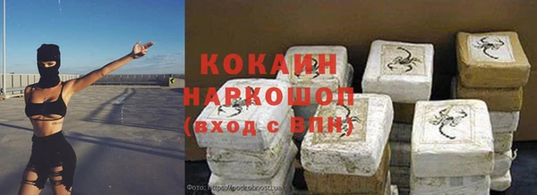 ПСИЛОЦИБИНОВЫЕ ГРИБЫ Горно-Алтайск
