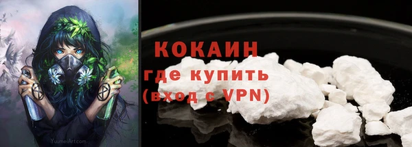 ПСИЛОЦИБИНОВЫЕ ГРИБЫ Горно-Алтайск