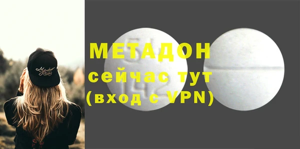 ПСИЛОЦИБИНОВЫЕ ГРИБЫ Горно-Алтайск