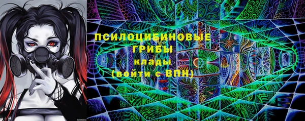 a pvp Горнозаводск