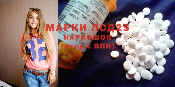 ПСИЛОЦИБИНОВЫЕ ГРИБЫ Горно-Алтайск
