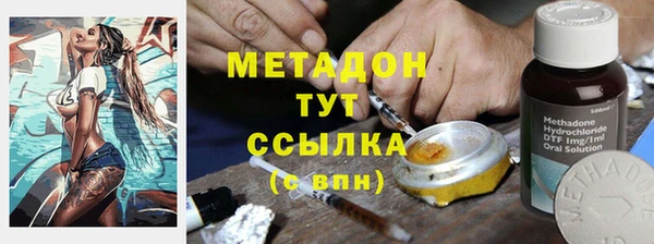 ПСИЛОЦИБИНОВЫЕ ГРИБЫ Горно-Алтайск