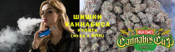 a pvp Горнозаводск